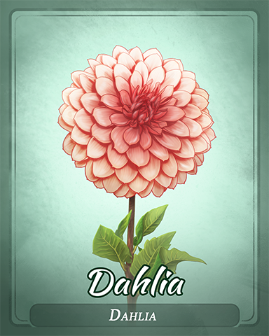 Dahlia Badge - Word Whomp HD Dahlia Badge - Word Whomp HD