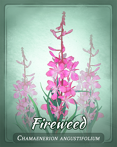 Fireweed Badge - Sweet Tooth Town Fireweed Badge - Sweet Tooth Town