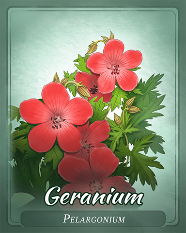Geranium Badge - Cookie Connect Geranium Badge - Cookie Connect