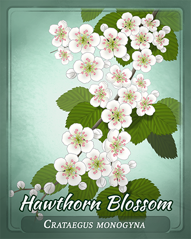 Hawthorn Blossom Badge - Hog Heaven Slots Hawthorn Blossom Badge - Hog Heaven Slots
