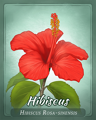 Hibiscus Badge - Word Search Daily HD Hibiscus Badge - Word Search Daily HD