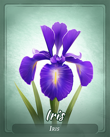 Iris Badge - Jungle Gin Iris Badge - Jungle Gin