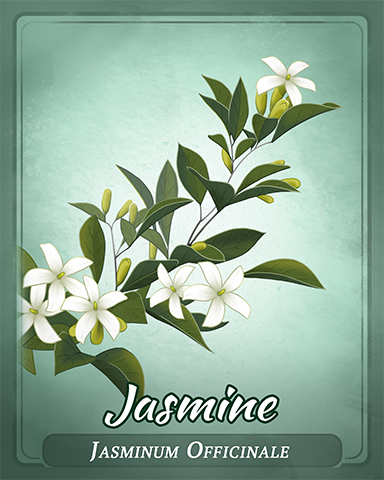 Jasmine Badge - Dominoes Jasmine Badge - Dominoes