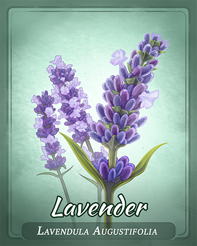 Lavender Badge - Pogo Bowl Lavender Badge - Pogo Bowl