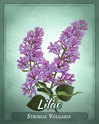 Lilac Badge - Poppit! Sprint Lilac Badge - Poppit! Sprint