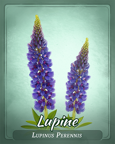 Lupine Badge - Jewel Academy Lupine Badge - Jewel Academy