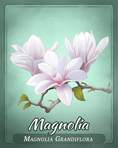 Magnolia Badge - Cross Country Adventure Magnolia Badge - Cross Country Adventure