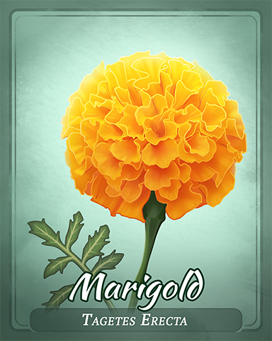 Marigold Badge - Poppit!™ HD Marigold Badge - Poppit!™ HD