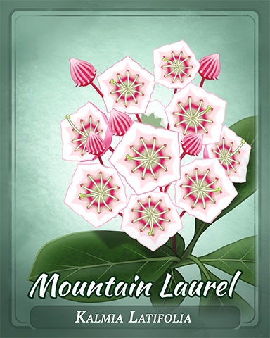 Mountain Laurel Badge - Poppit! Bingo Mountain Laurel Badge - Poppit! Bingo