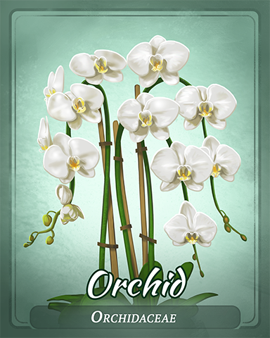 Orchid Badge - Bingo Luau Orchid Badge - Bingo Luau