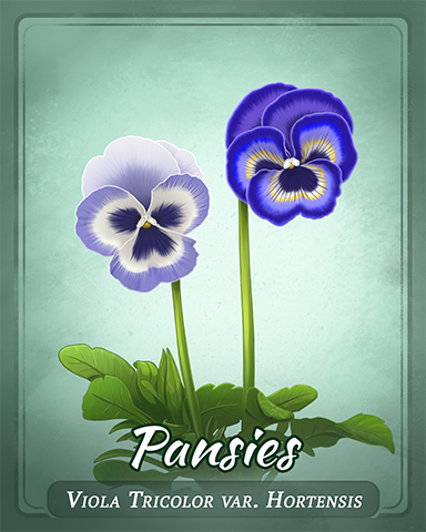 Pansies Badge - Mahjong Safari HD Pansies Badge - Mahjong Safari HD