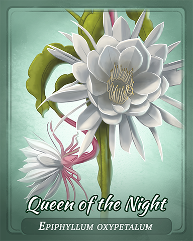 Queen Of The Night Badge - Claire Hart: Secret In The Shadows Queen Of The Night Badge - Claire Hart: Secret In The Shadows