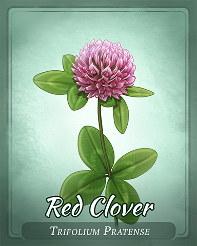 Red Clover Badge - Claire Hart Classic Red Clover Badge - Claire Hart Classic