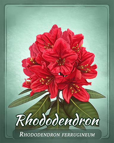 Rhododendron Badge - Everyone Wins Bingo Rhododendron Badge - Everyone Wins Bingo