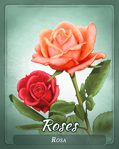 Roses Badge - StoryQuest Roses Badge - StoryQuest
