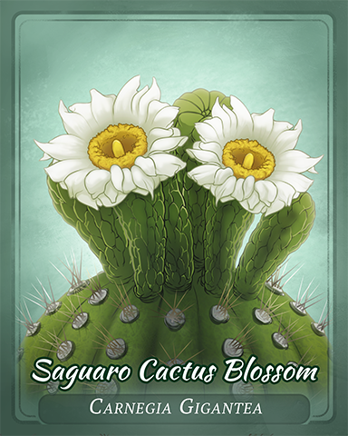 Saguaro Cactus Blossom Badge - Grub Crawl Saguaro Cactus Blossom Badge - Grub Crawl