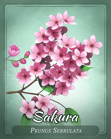 Sakura Badge - Solitaire Gardens Sakura Badge - Solitaire Gardens