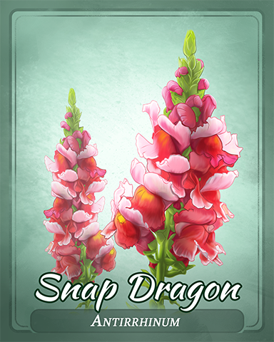 Snap Dragon Badge - Crossword Cove HD Snap Dragon Badge - Crossword Cove HD