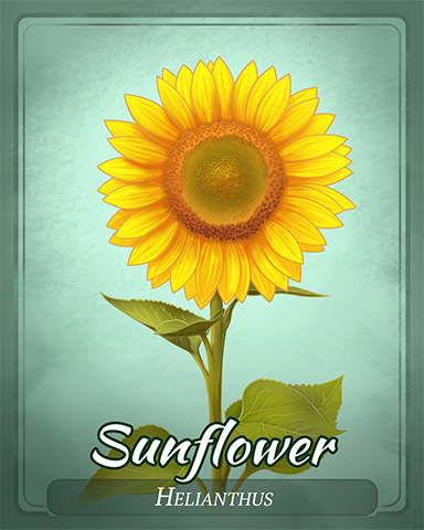Sunflower Badge - Phlinx II Sunflower Badge - Phlinx II