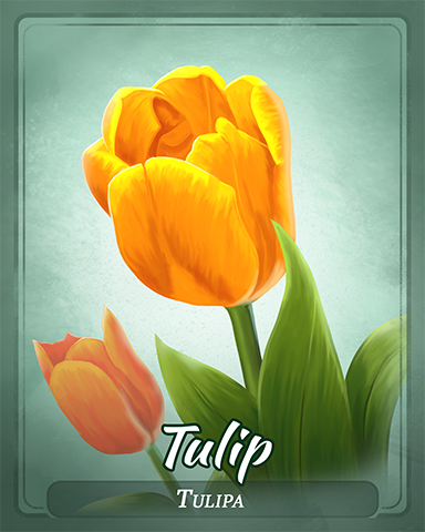 Tulip Badge - Mahjong Escape Tulip Badge - Mahjong Escape