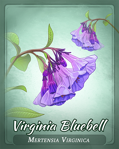 Virginia Bluebell Badge - Aces Up! HD Virginia Bluebell Badge - Aces Up! HD