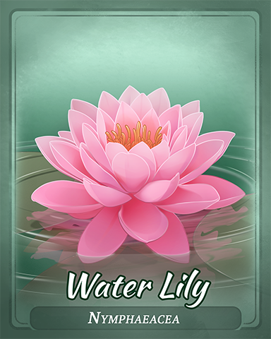 Water Lily Badge - Stack'em HD Water Lily Badge - Stack'em HD