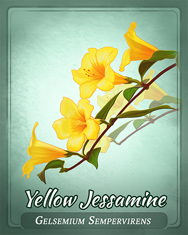 Yellow Jessamine Badge - Postcards From Britain Yellow Jessamine Badge - Postcards From Britain