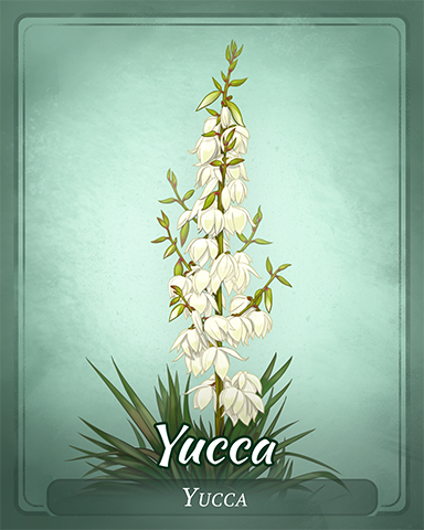 Yucca Badge - A Way With Words Yucca Badge - A Way With Words