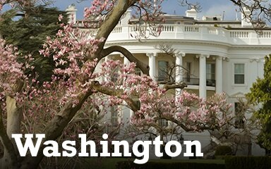 Washington DC Badge - Cross Country Adventure Washington DC Badge - Cross Country Adventure