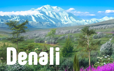 Denali Badge - Vanishing Trail Denali Badge - Vanishing Trail