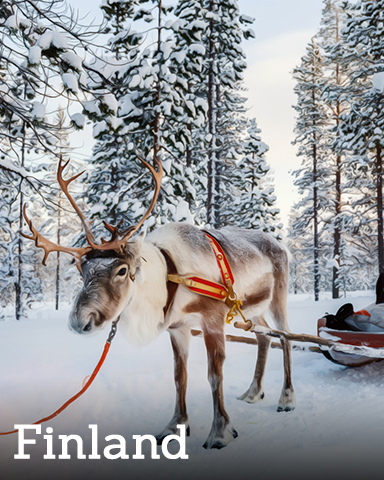 Finland Badge - Winter Wonderland Finland Badge - Winter Wonderland