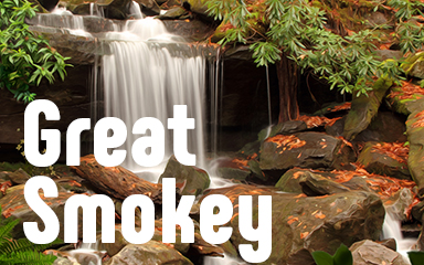 Great Smokey Badge - Vanishing Trail Great Smokey Badge - Vanishing Trail