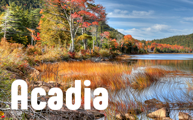 Acadia Badge - Vanishing Trail Acadia Badge - Vanishing Trail