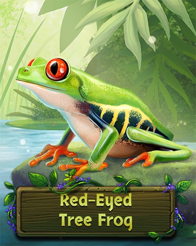Red-Eyed Tree Frog Badge - Mahjong Garden HD Red-Eyed Tree Frog Badge - Mahjong Garden HD