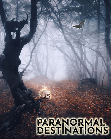 Foggy Forest Badge - Paranormal Destinations Foggy Forest Badge - Paranormal Destinations