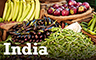 Indian Food Badge - Grub Crawl Indian Food Badge - Grub Crawl