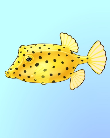 The Box Rocks Badge - Quinn's Aquarium The Box Rocks Badge - Quinn's Aquarium