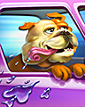 Lickety Spit Badge - Spades Lickety Spit Badge - Spades