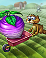 Turnip Trot Badge - Word Whomp HD Turnip Trot Badge - Word Whomp HD