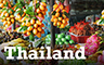 Thai Food Badge - Grub Crawl